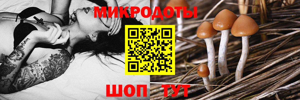 Галлюциногенные грибы GOLDEN TEACHER  Вход с VPN  Галлюциногенные грибы Psilocybe  Бутурлиновка 